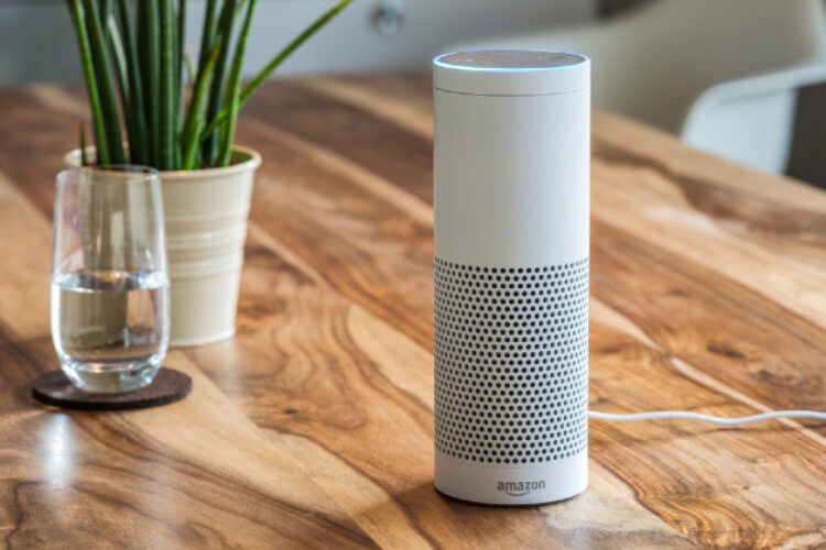 A white Amazon Echo smart speaker on a wooden table near a glass of water and a potted plant