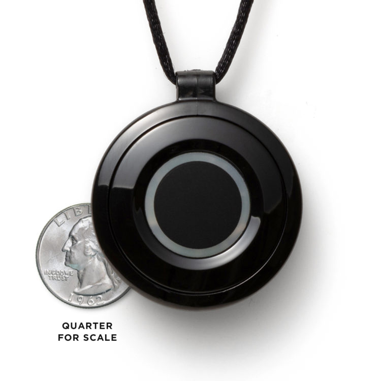 Size comparison of black pendant and quarter